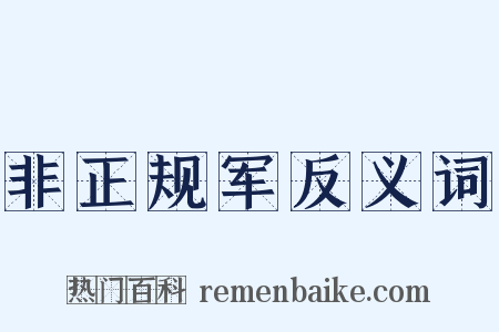 非正规军反义词是什么意思的图片